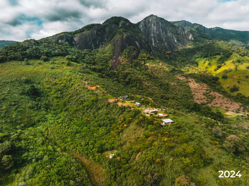 Floresta biO2 Depois reflorestamento