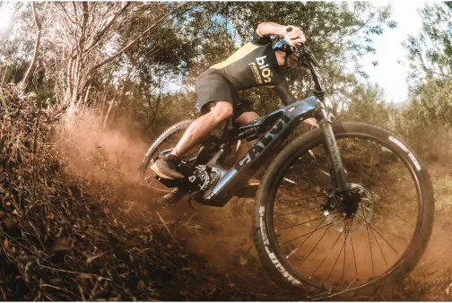 Downhill de bike Caloi na floresta biO2