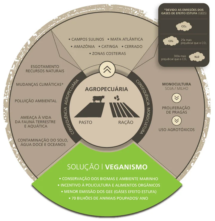 Consequências da agropecuária