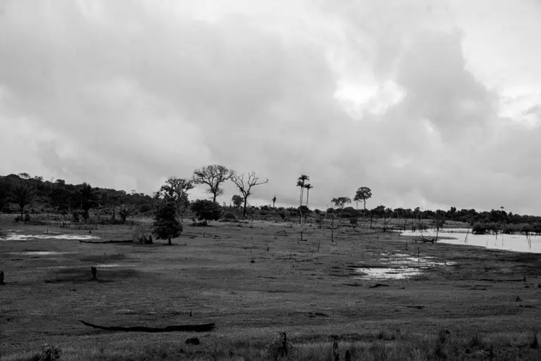 Desmatamento Amazônia