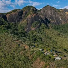 Foto de drono da floresta biO2 projeto de restauração ambiental
